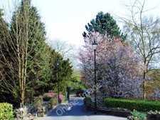 Photo 6x4 Main Street, Grange